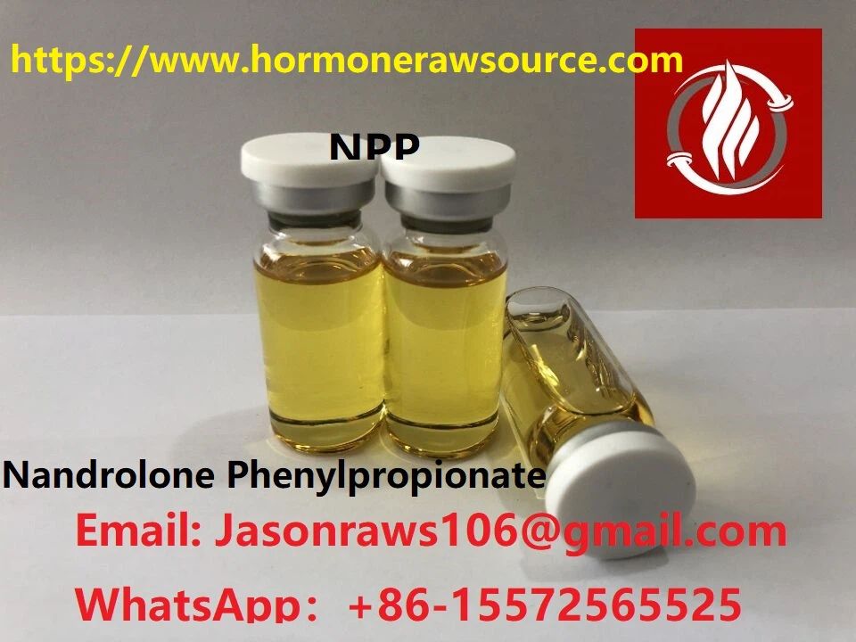 BNP Nandrolone Phenylpropionate Għall Bodybuilding CAS:62-90-8