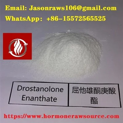 Drostanolone Enanthate Trab Bodybuilding CAS:13425-31-5