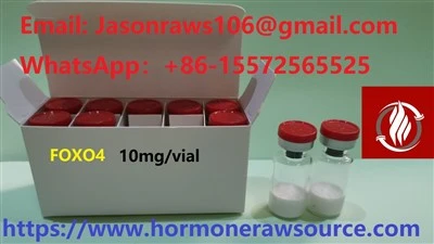 FOXO4 Għall-Bodybuilding CAS:2460055-10-9